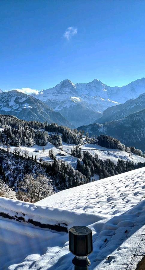 Chalet Lilo 2 Zimmer top mountain view Beatenberg Buitenkant foto
